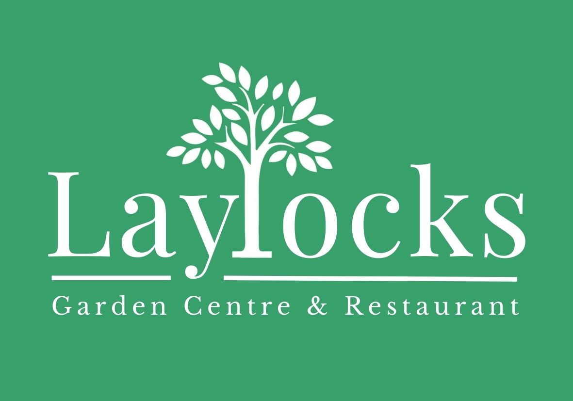 My Site logo